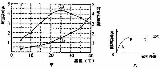 52.下圖甲圖中.a曲線表示在一定光照強度.不同溫度條件下.某植物的光合作用量(單位時間內(nèi)同化的CO2量),b曲線表示同等條件下的呼吸作用量(單位時間內(nèi)釋放的CO2量).乙圖表示的是該植物在30℃條件