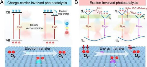 光合作用竟然發(fā)生在短短的億萬分之一秒,蘊藏著深刻宇宙奧秘