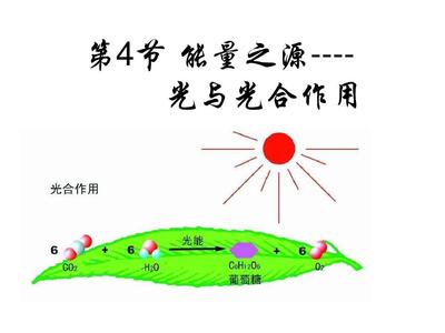 第4節(jié) 能量之源--光與光合作用公開課PPT_word文檔在線閱讀與下載_無憂文檔